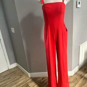 Theia Striking Scarlet Jumpsuit